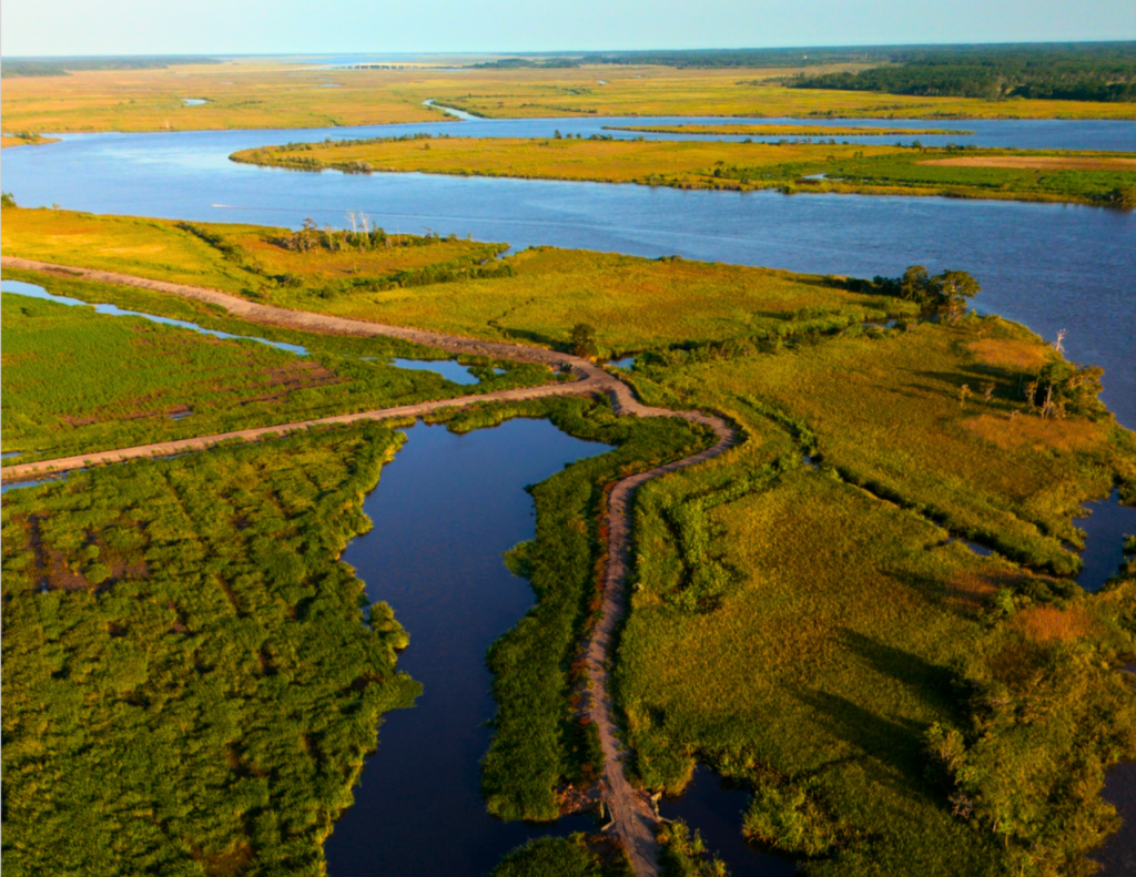 ACE Basin