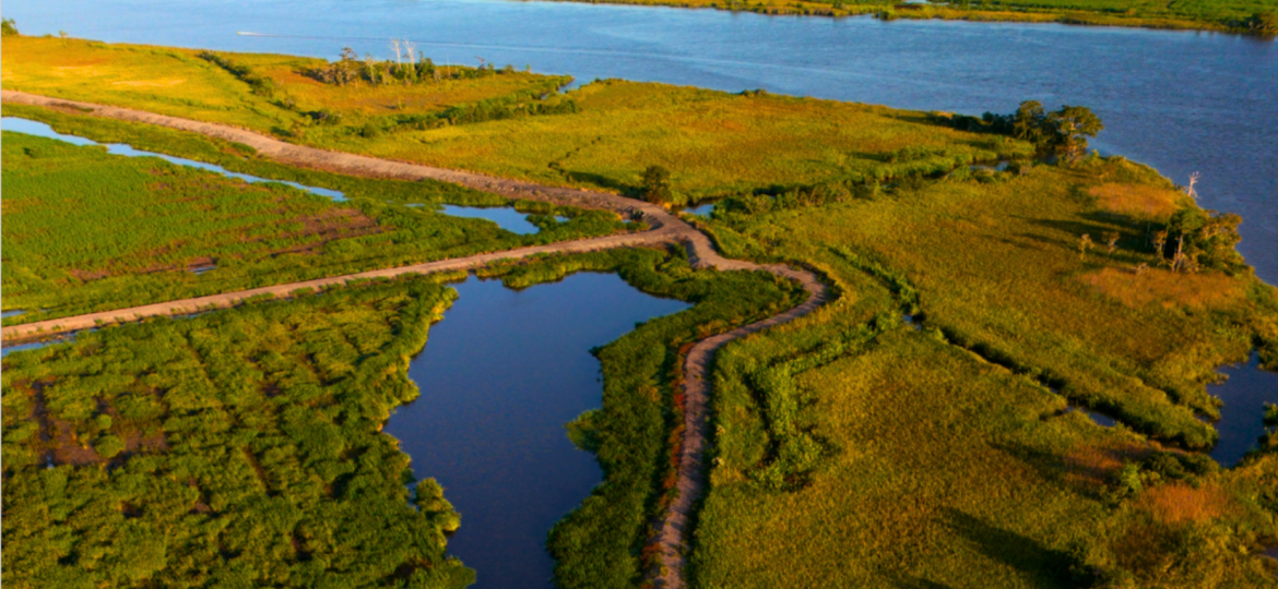 ACE Basin