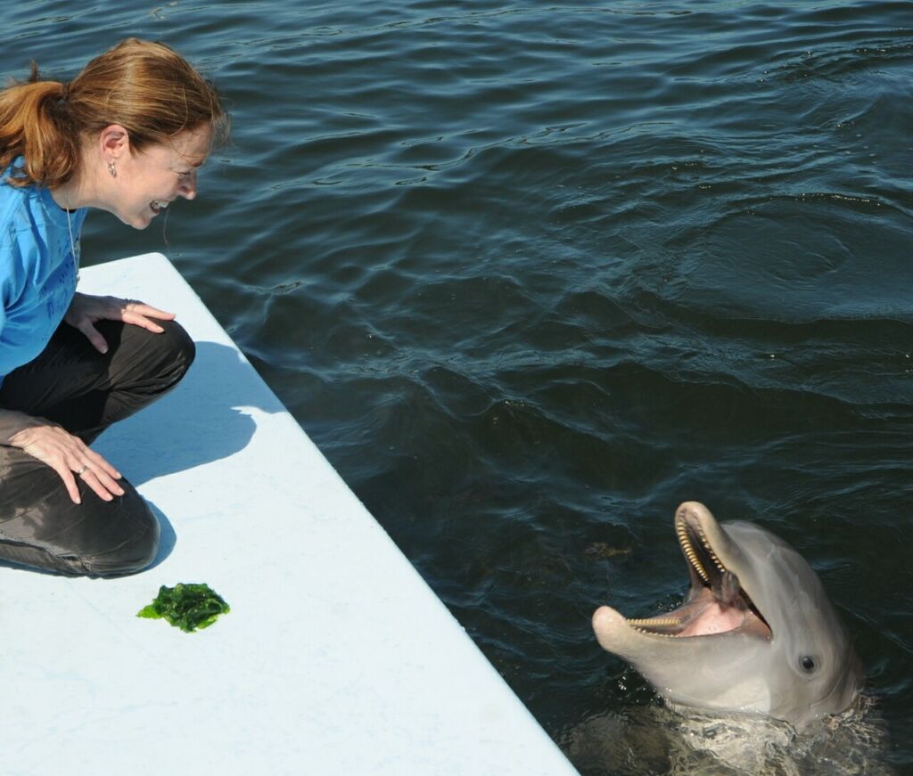 How Dolphin Research Inspired My Lowcountry Summer Book Series